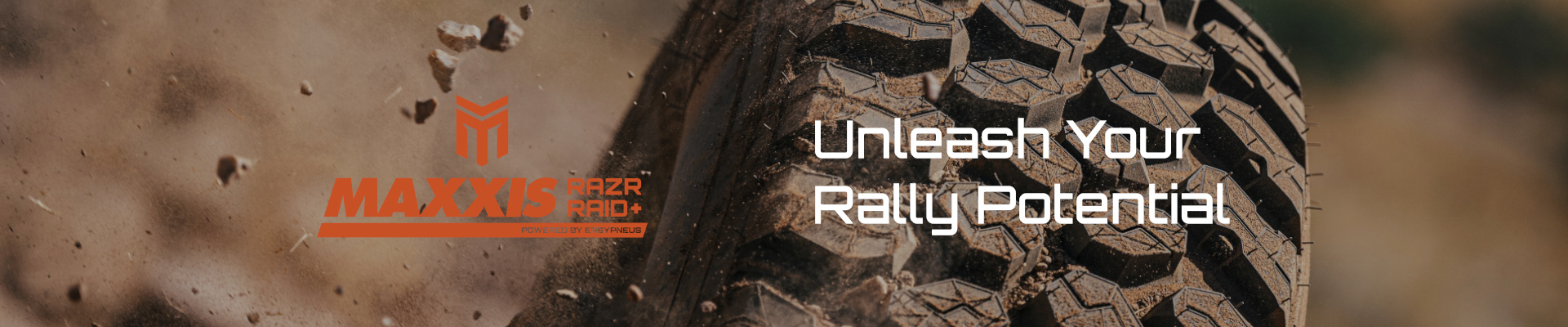 Maxxis Rally Raid+